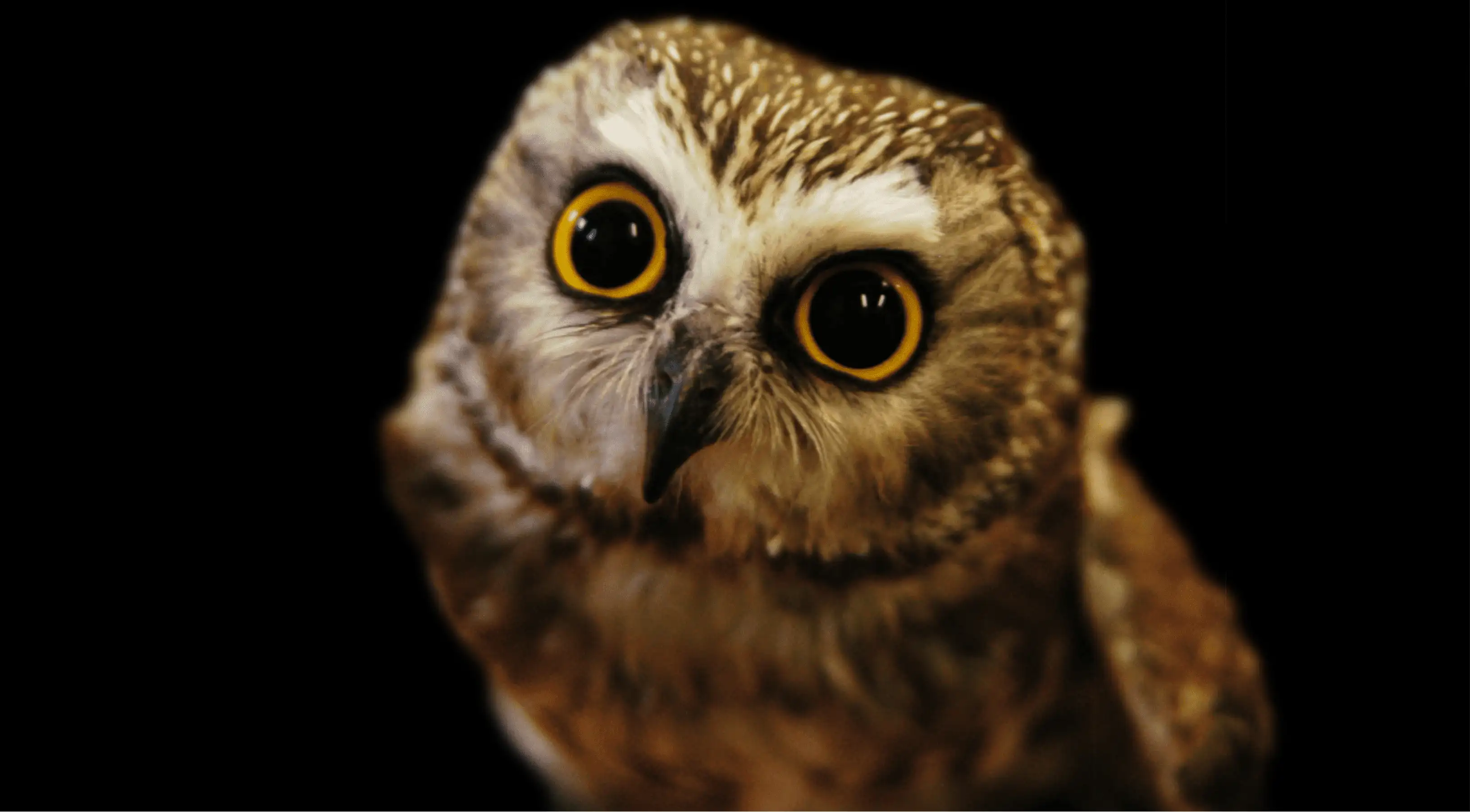 Testing grip ergonomics in wet environment