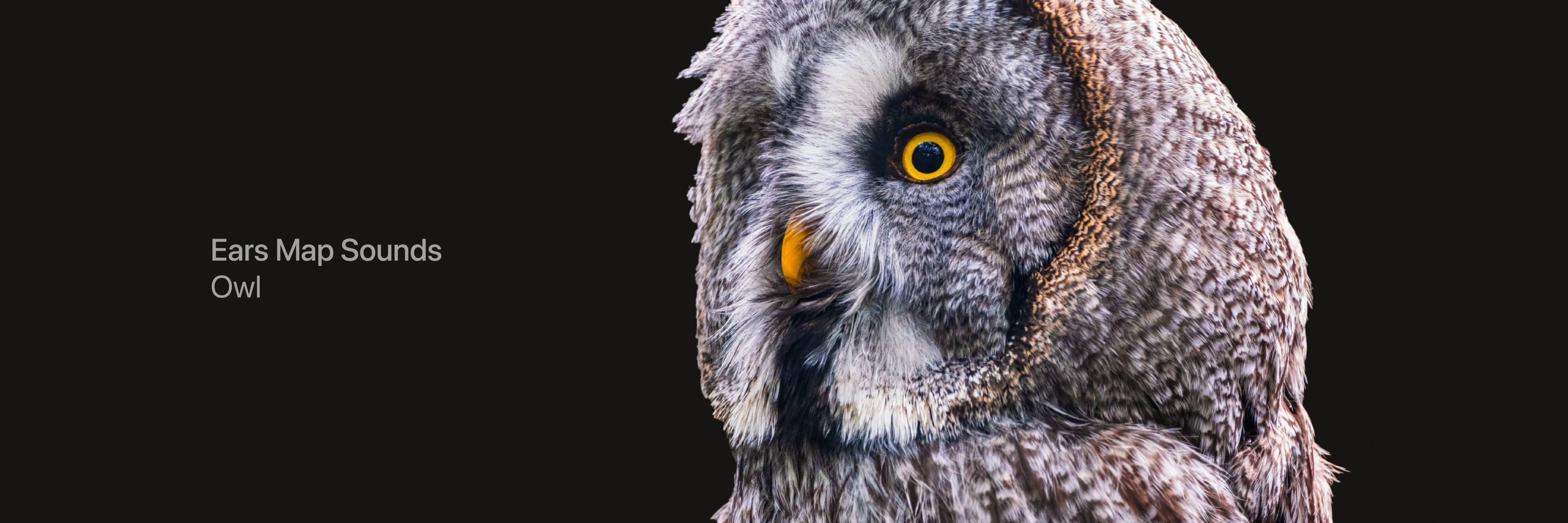 SoundSense team and device in context