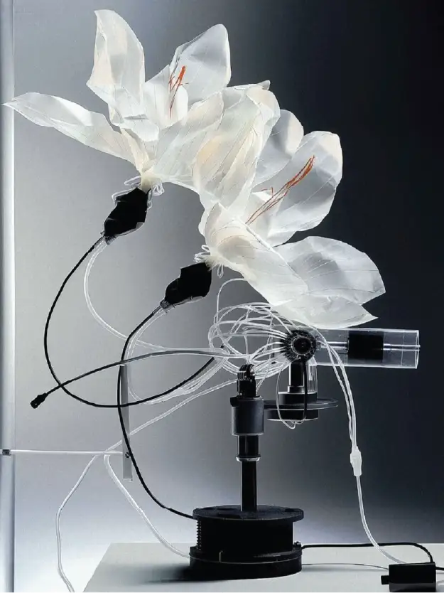 Decoding Plant Communication